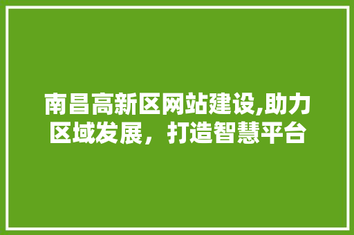 南昌高新区网站建设,助力区域发展，打造智慧平台