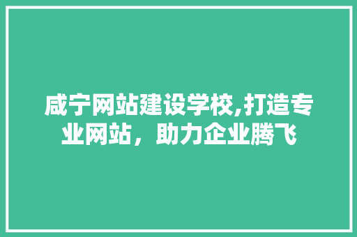 咸宁网站建设学校,打造专业网站，助力企业腾飞