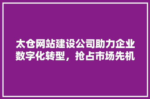 太仓网站建设公司助力企业数字化转型，抢占市场先机