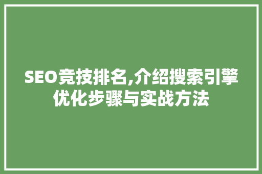 SEO竞技排名,介绍搜索引擎优化步骤与实战方法