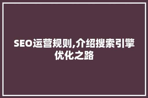 SEO运营规则,介绍搜索引擎优化之路  第1张