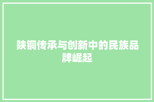 陕铜传承与创新中的民族品牌崛起