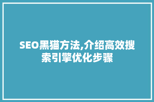 SEO黑猫方法,介绍高效搜索引擎优化步骤