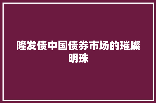 隆发债中国债券市场的璀璨明珠