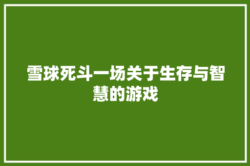 雪球死斗一场关于生存与智慧的游戏