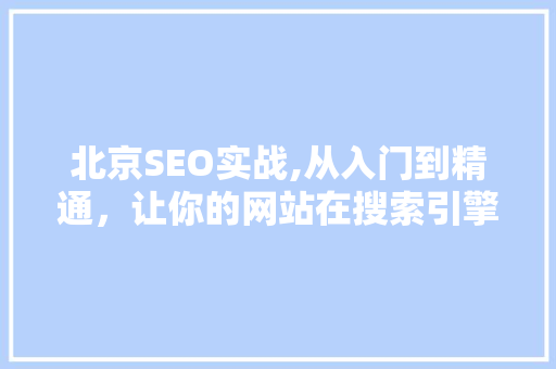 北京SEO实战,从入门到精通，让你的网站在搜索引擎中脱颖而出  第1张