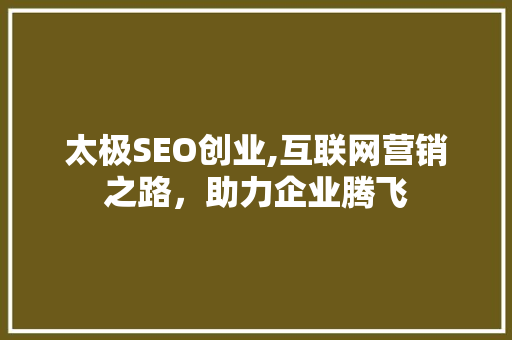太极SEO创业,互联网营销之路，助力企业腾飞