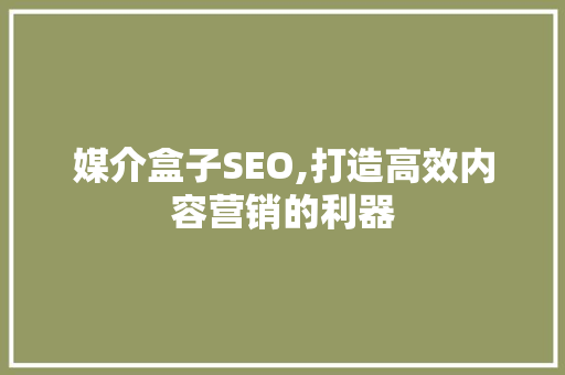 媒介盒子SEO,打造高效内容营销的利器  第1张