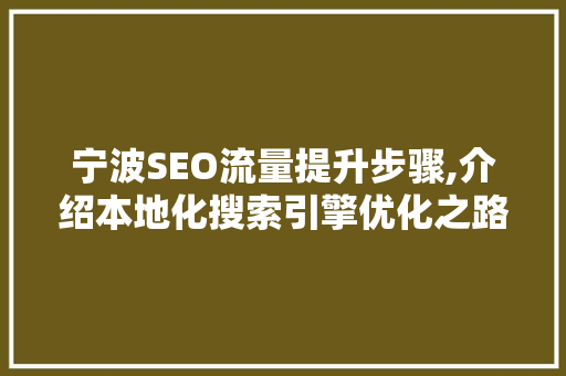 宁波SEO流量提升步骤,介绍本地化搜索引擎优化之路