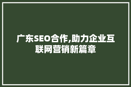 广东SEO合作,助力企业互联网营销新篇章