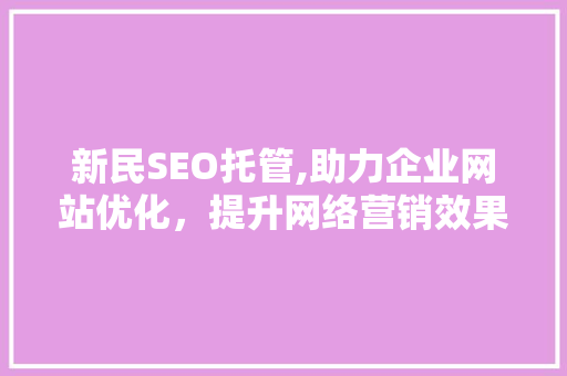 新民SEO托管,助力企业网站优化，提升网络营销效果