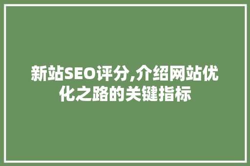 新站SEO评分,介绍网站优化之路的关键指标