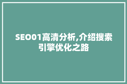 SEO01高清分析,介绍搜索引擎优化之路