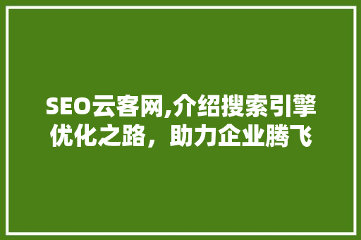 SEO云客网,介绍搜索引擎优化之路，助力企业腾飞  第1张