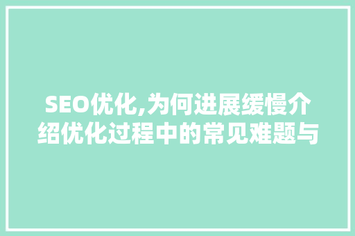 SEO优化,为何进展缓慢介绍优化过程中的常见难题与应对步骤