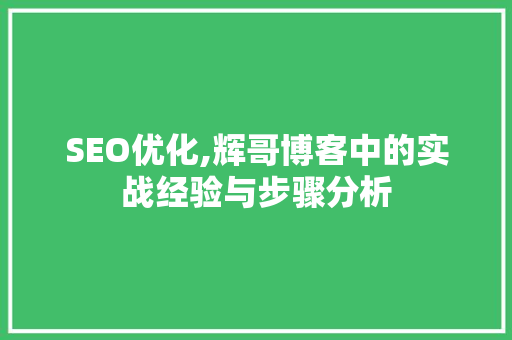 SEO优化,辉哥博客中的实战经验与步骤分析  第1张