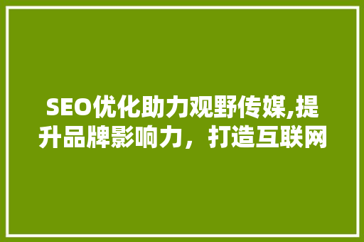 SEO优化助力观野传媒,提升品牌影响力，打造互联网时代传播新格局