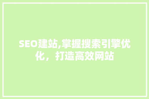 SEO建站,掌握搜索引擎优化，打造高效网站