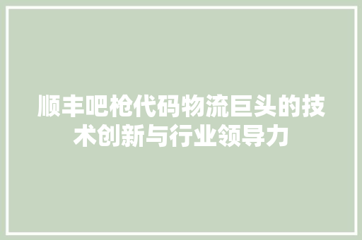 顺丰吧枪代码物流巨头的技术创新与行业领导力