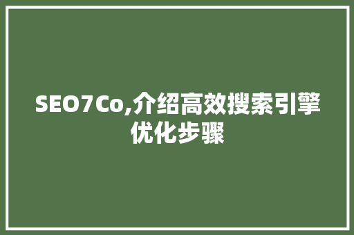 SEO7Co,介绍高效搜索引擎优化步骤
