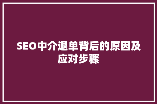 SEO中介退单背后的原因及应对步骤