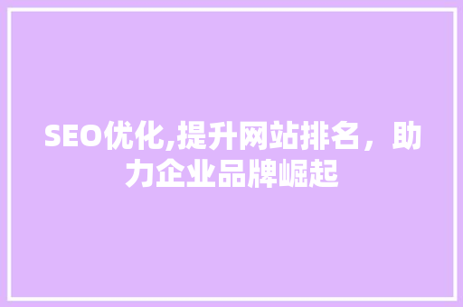 SEO优化,提升网站排名，助力企业品牌崛起