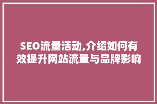 SEO流量活动,介绍如何有效提升网站流量与品牌影响力