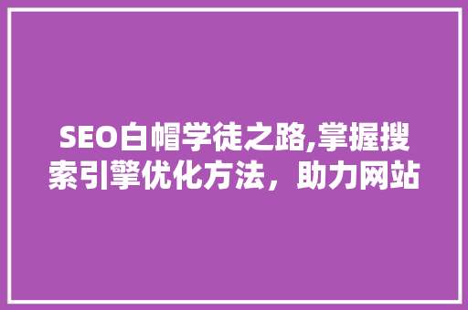 SEO白帽学徒之路,掌握搜索引擎优化方法，助力网站优化与排名提升