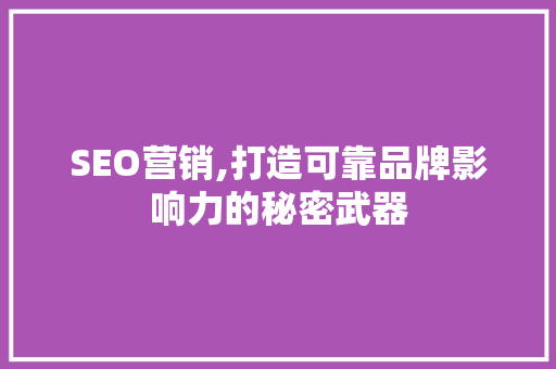 SEO营销,打造可靠品牌影响力的秘密武器