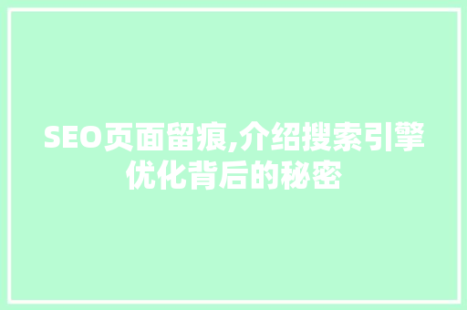 SEO页面留痕,介绍搜索引擎优化背后的秘密
