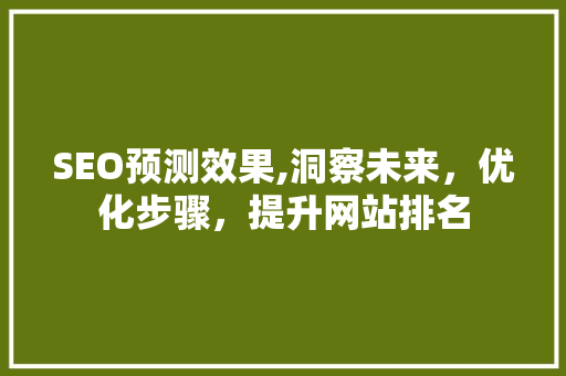 SEO预测效果,洞察未来，优化步骤，提升网站排名
