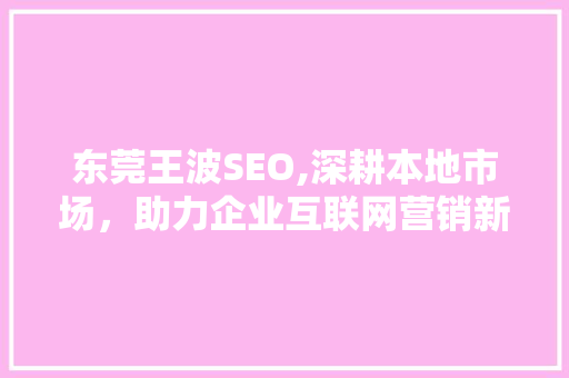 东莞王波SEO,深耕本地市场，助力企业互联网营销新突破