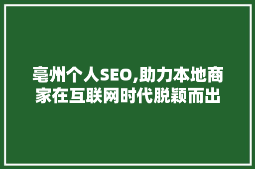 亳州个人SEO,助力本地商家在互联网时代脱颖而出