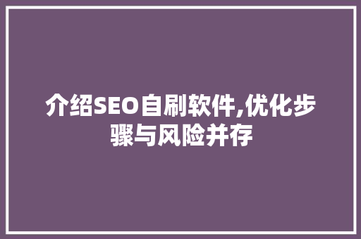 介绍SEO自刷软件,优化步骤与风险并存