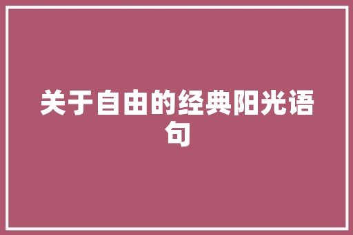 介绍双塔抖音SEO,打造爆款视频，提升品牌影响力的秘密武器
