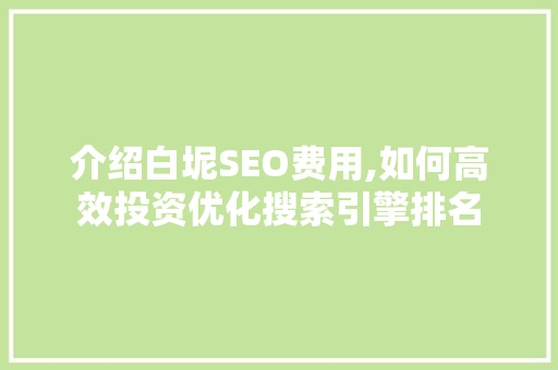 介绍白坭SEO费用,如何高效投资优化搜索引擎排名