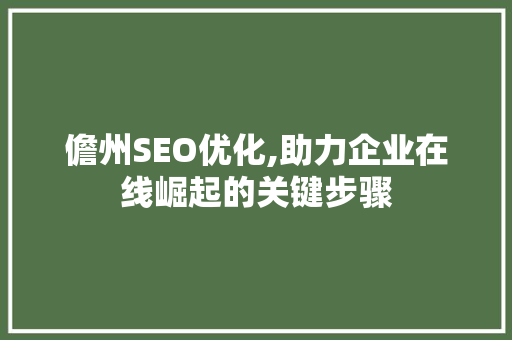 儋州SEO优化,助力企业在线崛起的关键步骤