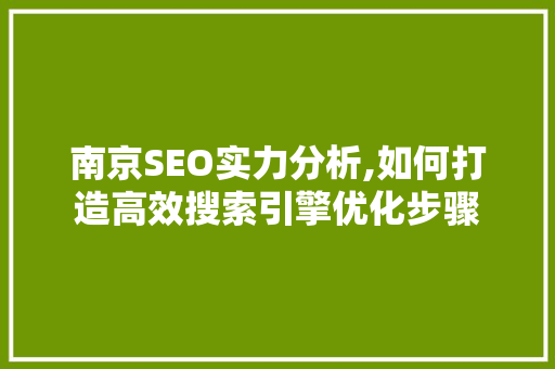 南京SEO实力分析,如何打造高效搜索引擎优化步骤