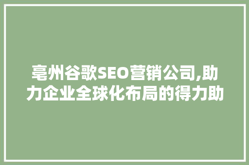 亳州谷歌SEO营销公司,助力企业全球化布局的得力助手