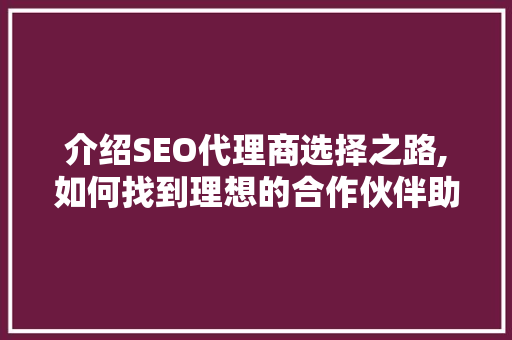 介绍SEO代理商选择之路,如何找到理想的合作伙伴助力网站排名攀升
