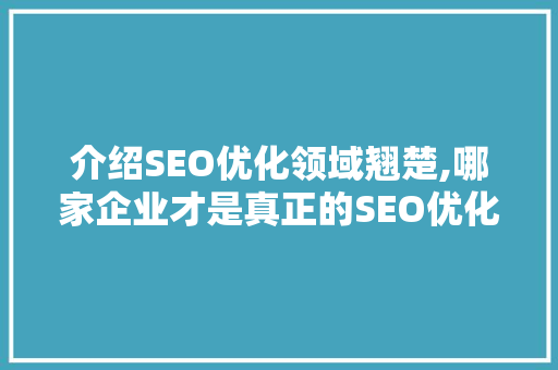 介绍SEO优化领域翘楚,哪家企业才是真正的SEO优化高手