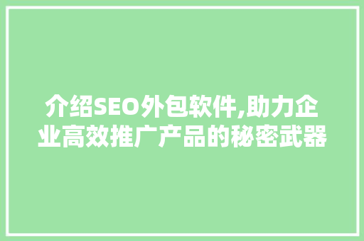 介绍SEO外包软件,助力企业高效推广产品的秘密武器