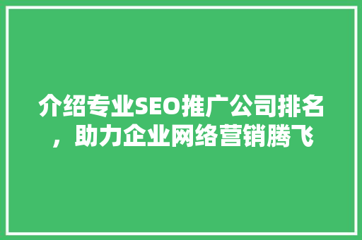 介绍专业SEO推广公司排名，助力企业网络营销腾飞