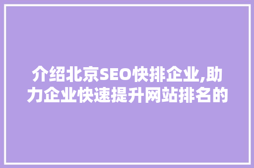 介绍北京SEO快排企业,助力企业快速提升网站排名的秘密武器