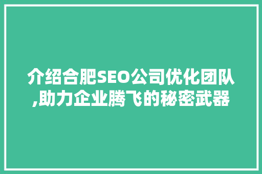 介绍合肥SEO公司优化团队,助力企业腾飞的秘密武器