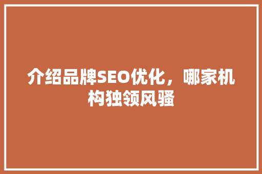 介绍品牌SEO优化，哪家机构独领风骚