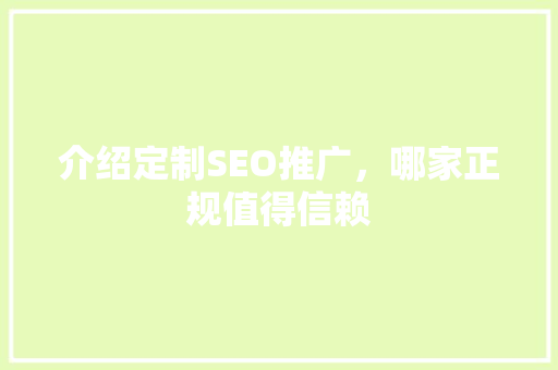 介绍定制SEO推广，哪家正规值得信赖