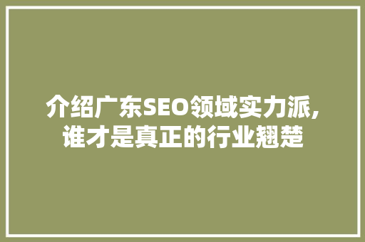 介绍广东SEO领域实力派,谁才是真正的行业翘楚