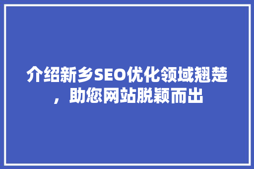 介绍新乡SEO优化领域翘楚，助您网站脱颖而出