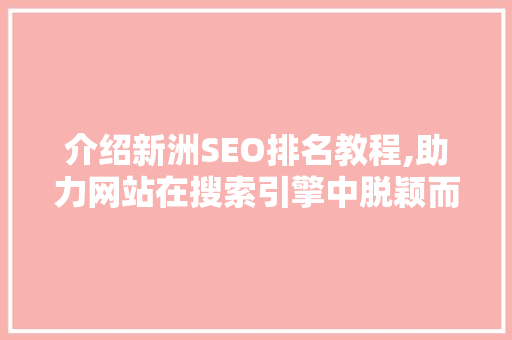 介绍新洲SEO排名教程,助力网站在搜索引擎中脱颖而出
